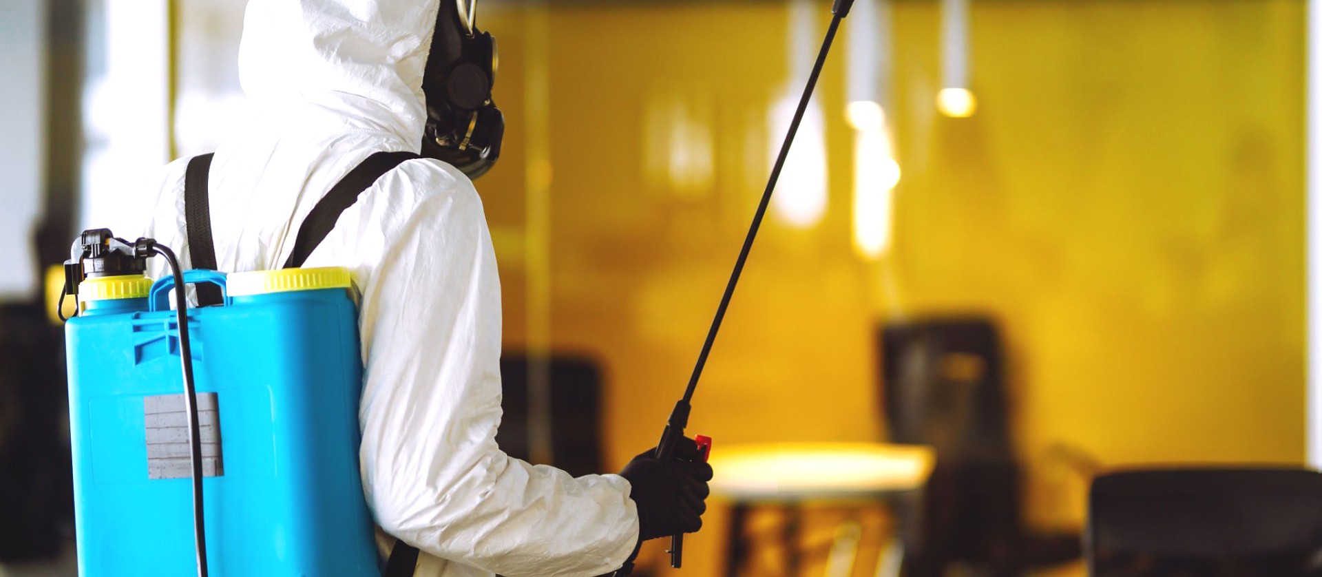 Pest Control Services